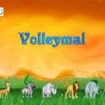 Volleymal